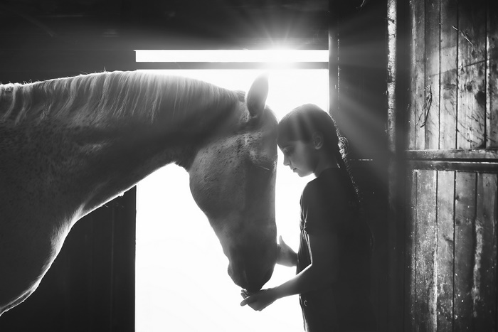Girl and horse in a barn