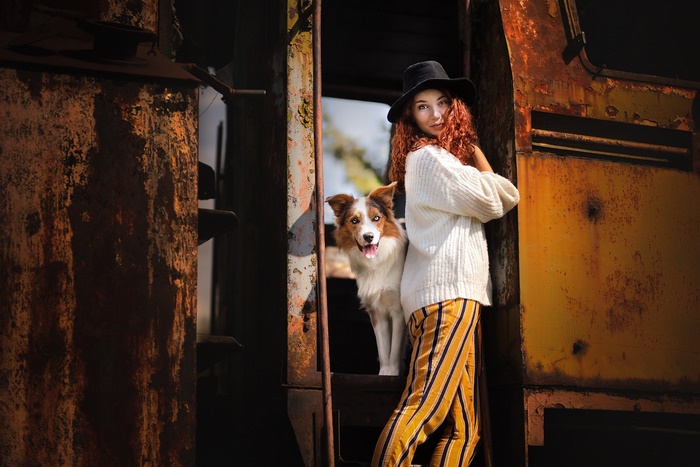 Woman and Border Collie in a Train Car