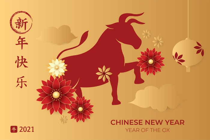 Chinese New Year Year of the Ox 4K