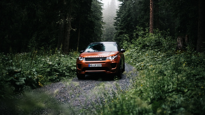 Orange Land Rover Discovery driving on a forest road