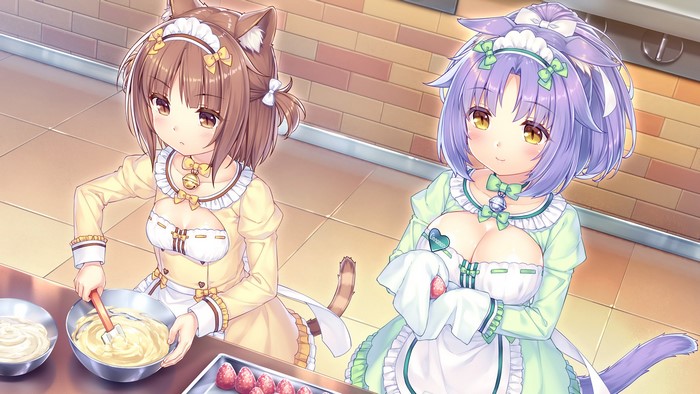 Cinnamon and Azuki from NEKOPARA