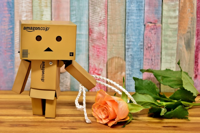 Danbo with an orange rose