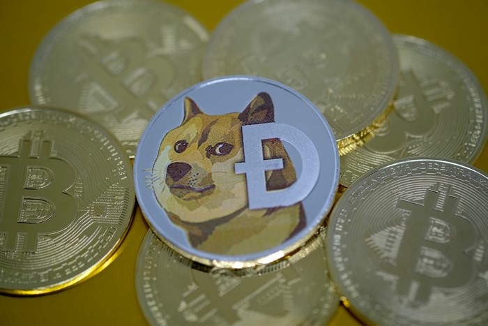 Dogecoin and Bitcoin cryptocurrency coins