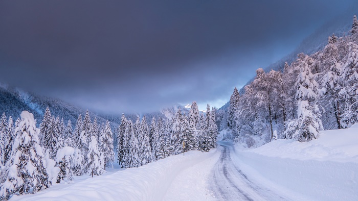 Snowy road through a winter forest in Italy