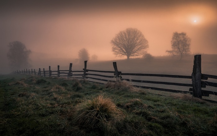 Foggy landscape with wooden fence and trees