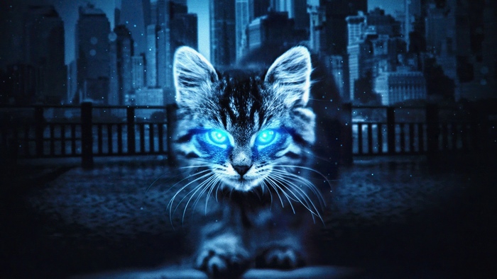 Cat with Glowing Blue Eyes in City at Night