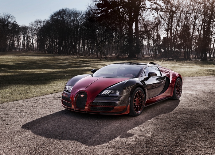 Bugatti Veyron Supercar in a park