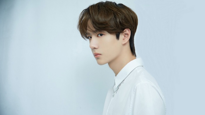 Wang Yibo