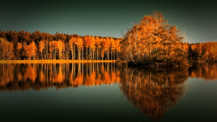 Autumn trees reflecting in a lake