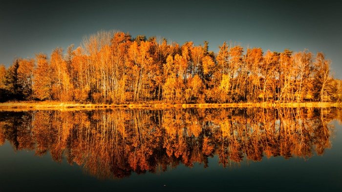 Autumn trees reflected in a calm lake