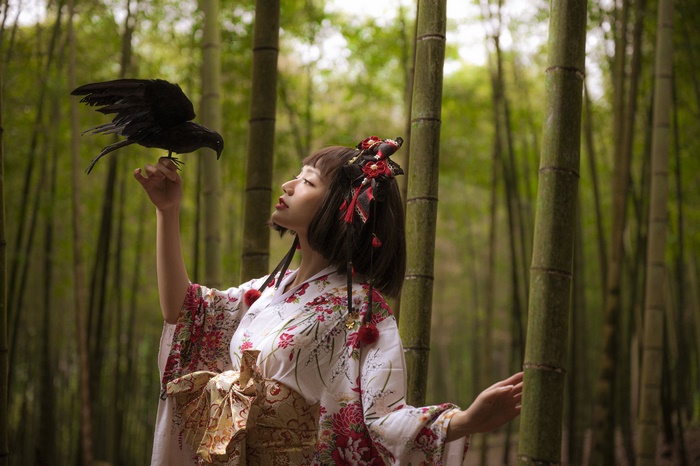 Woman in Kimono Holding a Crow in Bamboo Forest