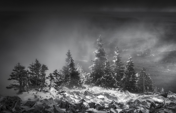 Monochrome winter scene with snow-covered trees and rocks
