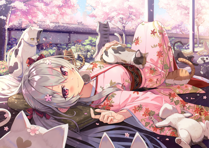 Girl in Kimono with Many Cats Under Cherry Blossoms