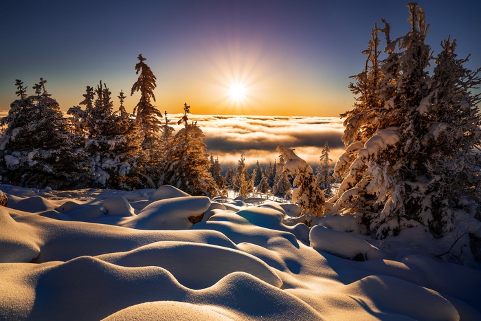Winter forest landscape with sunbeams over clouds