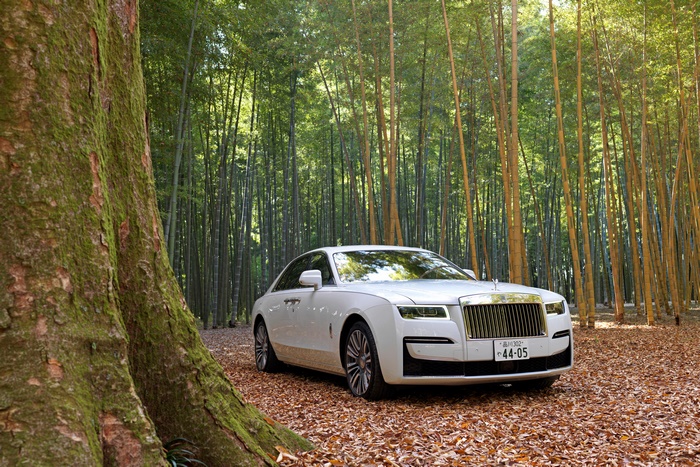 White Rolls-Royce Ghost in Bamboo Forest