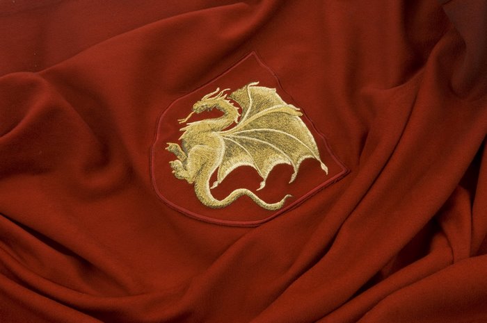 The Crest of Camelot from Merlin (TV Show)