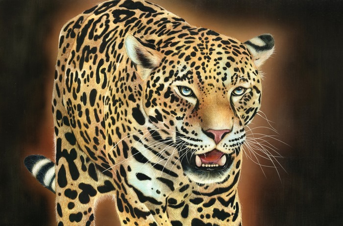 Jaguar with blue eyes and open mouth