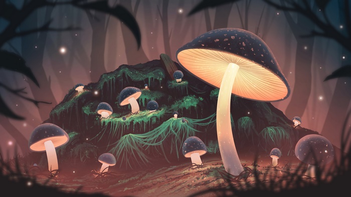 Glowing Mushrooms in a Mystical Forest at Night 4K