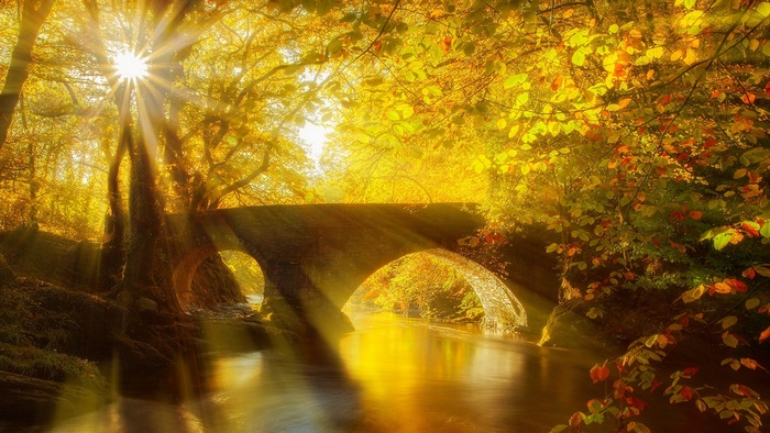 Stone bridge over a river in autumn forest with sunbeams