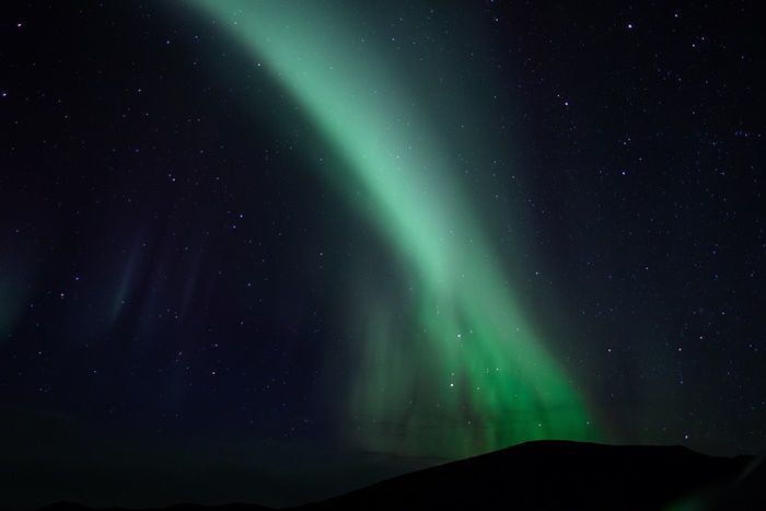 Aurora Borealis in a Starry Night Sky