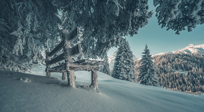 Snow covered bench and trees in a winter landscape