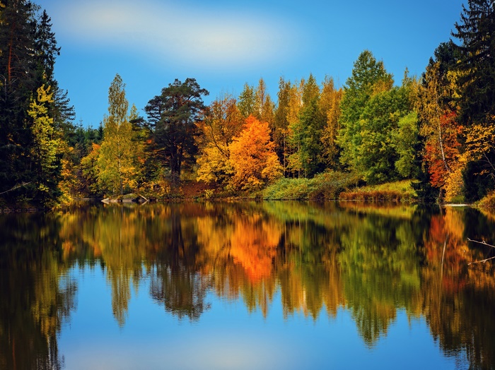 Reflection 4K, Lake, Fall, Nature, Finland, HD Wallpaper | Rare Gallery