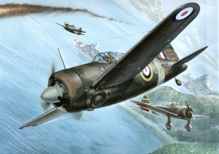 Brewster F2A Buffalo aircraft in combat