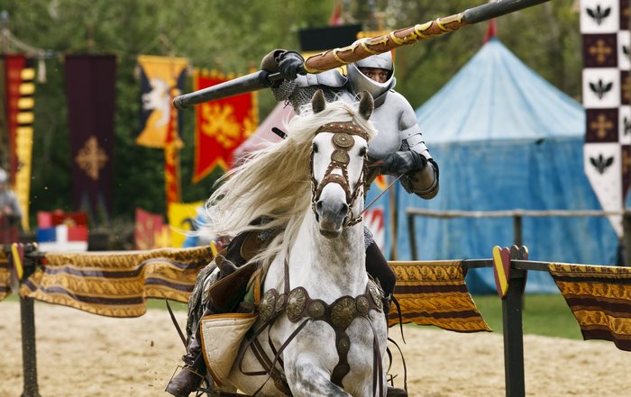 Knight in armor jousting on a white horse
