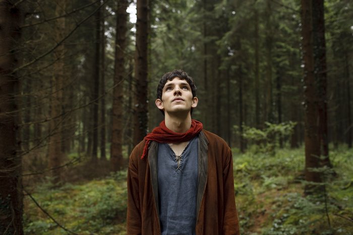 Merlin from Merlin in a forest