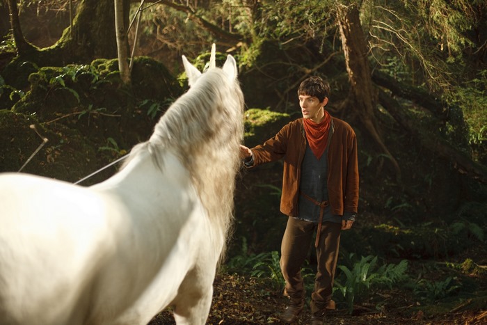 Merlin and a Unicorn in a Forest