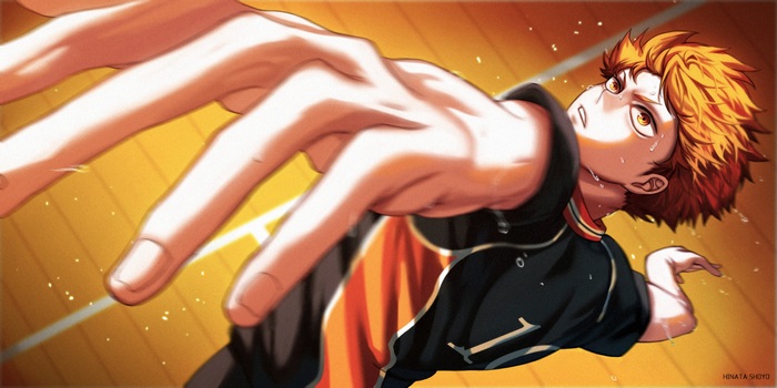 Shoyo Hinata from Haikyuu!!