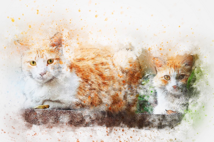 Two cats in a watercolor painting