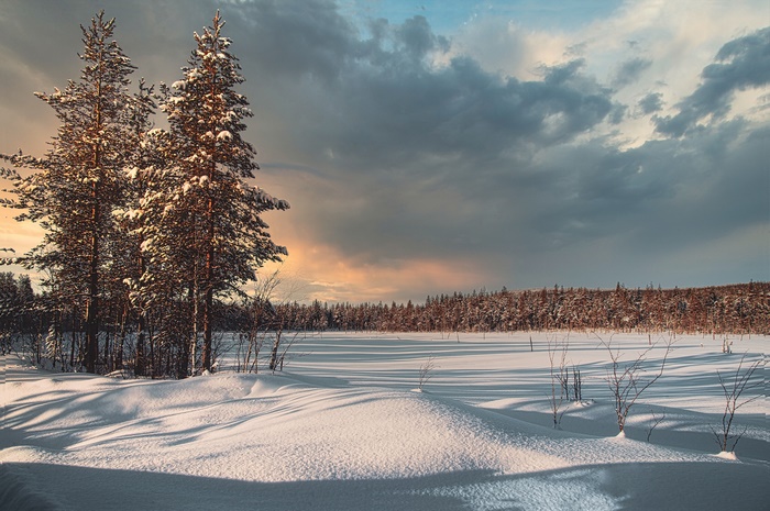 Winter landscape with snow-covered trees and a cloudy sky