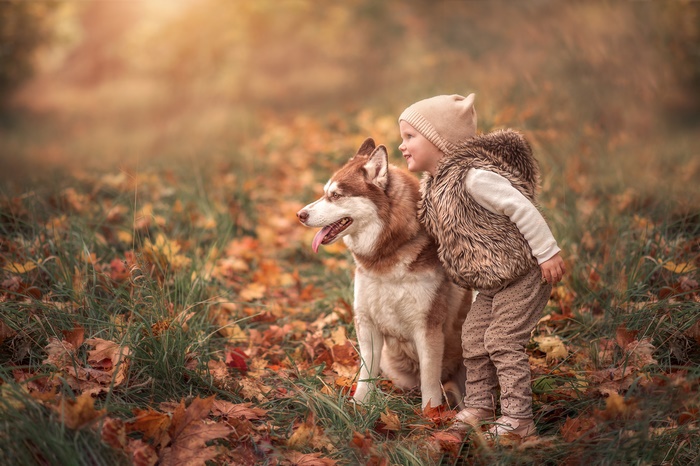 Girl with Husky in Autumn Forest