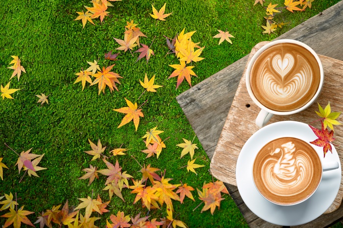 Coffee cups with latte art on moss and autumn leaves