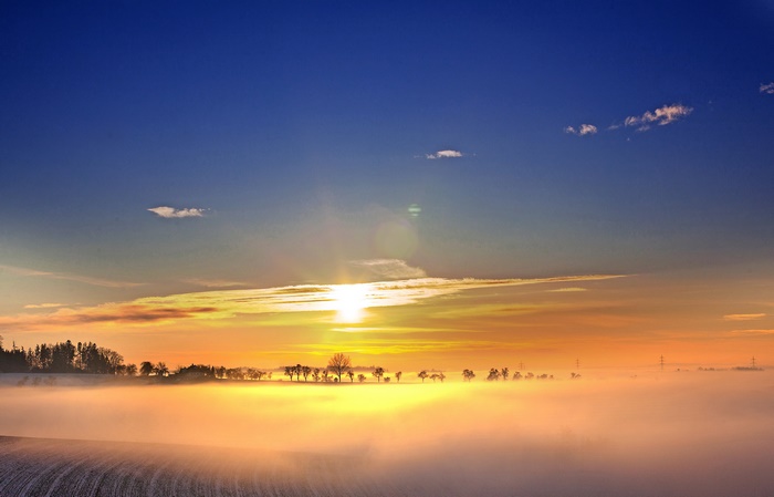 Sunrise over a foggy field with trees