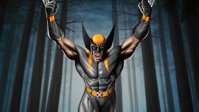 Wolverine from Marvel Comics X-Men