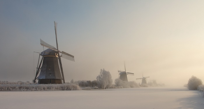 Windmills in the Snow at Sunrise