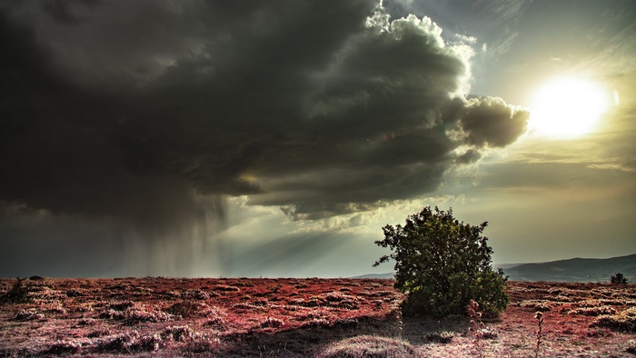 Stormy sky over a field with a tree