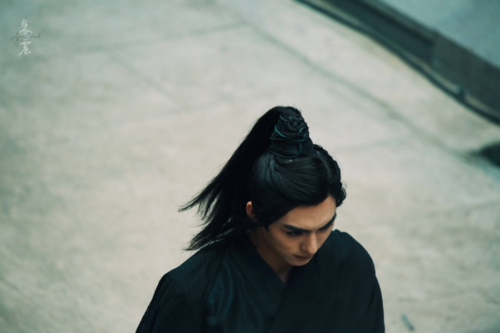 Wang Hao Xuan from Dance Of The Phoenix