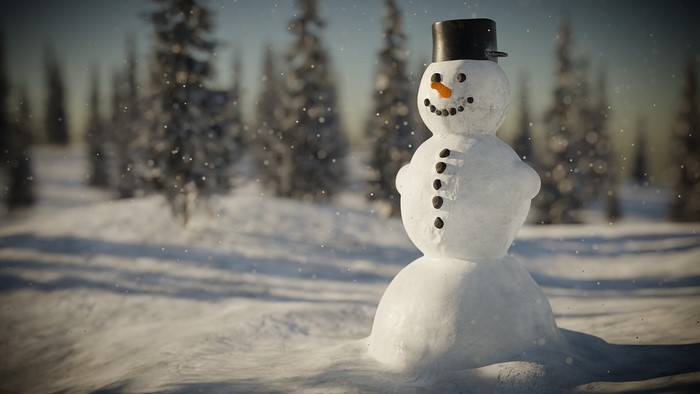 Snowman with a pot hat in a winter forest