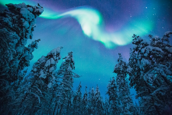 Aurora Borealis over snow-covered forest at night