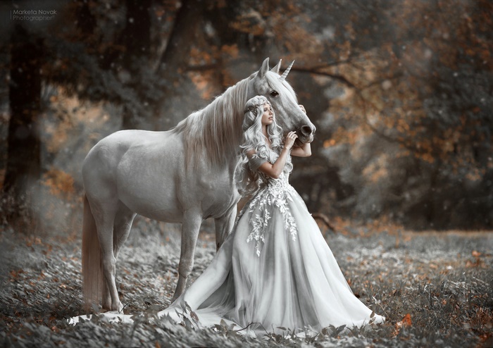 Woman in White Dress with White Horse