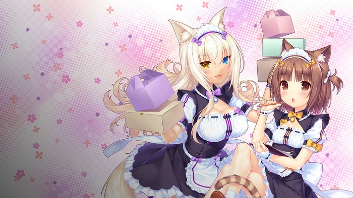 Coconut and Azuki from Nekopara with boxes