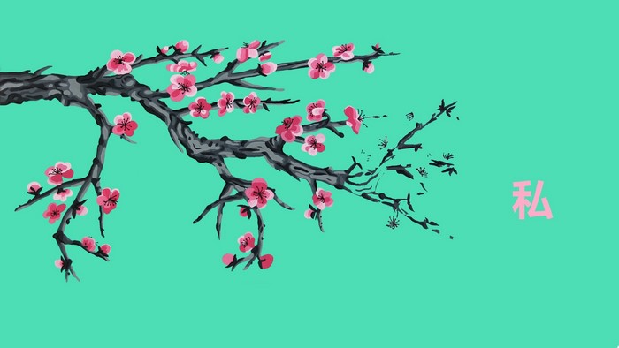 Cherry Blossoms and Japanese Kanji on Teal Background