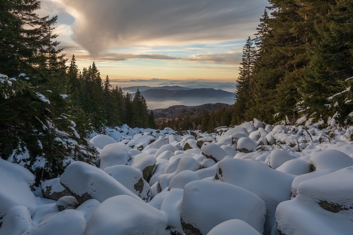 Snow-covered boulders in a mountain forest at sunset