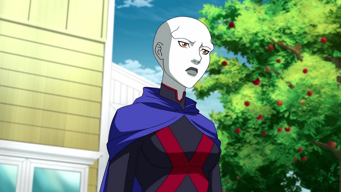 Miss Martian from Young Justice