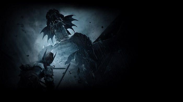Vindictus Knight fighting a dragon