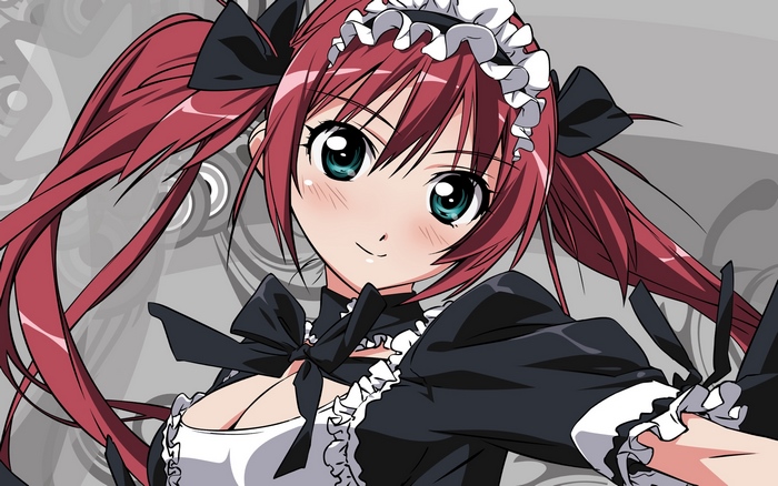 Maid character from Queen's Blade