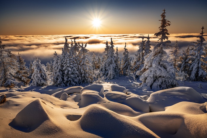 Winter forest landscape with sun above clouds